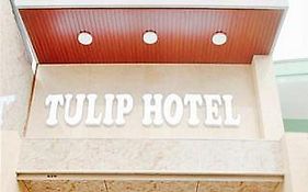 Tulip Hotel